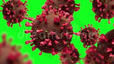 冠状病毒爆发和冠状病毒流感背景以一组致病细菌入侵细胞为代表